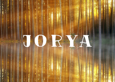 ŮbW(wng)վ_l(f)p