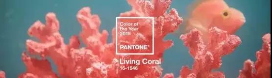 流行網(wǎng)頁(yè)設(shè)計(jì) 流行網(wǎng)頁(yè)設(shè)計(jì)