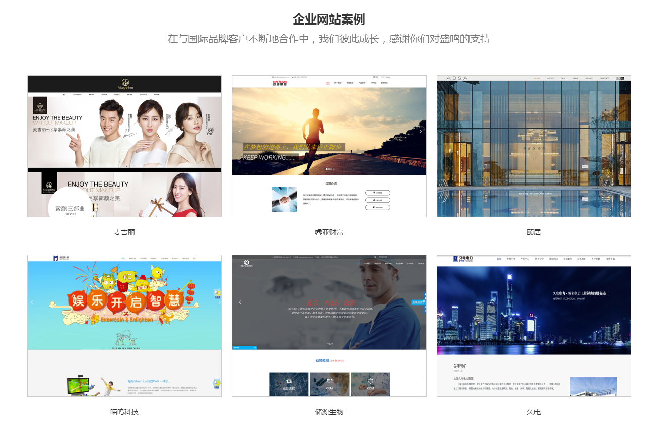 盛鳴網(wǎng)絡(luò) 盛鳴網(wǎng)絡(luò)