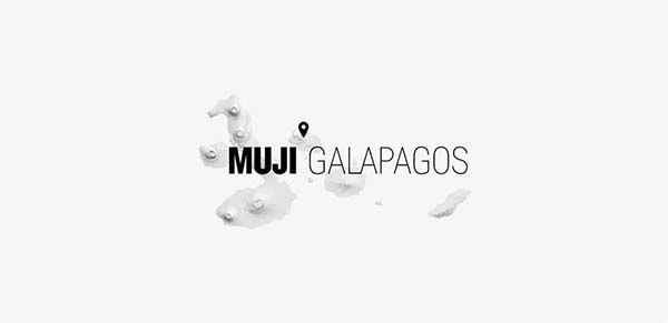 W(wng)O(sh)Ӌ(j)cAPPO(sh)Ӌ(j)p