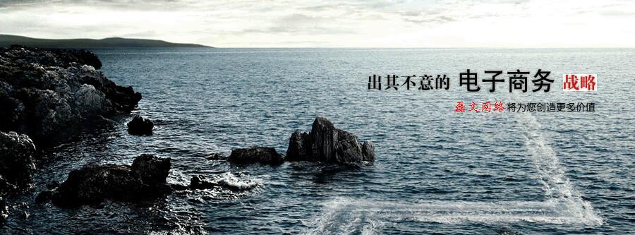 沙磊文網絡 沙磊文網絡