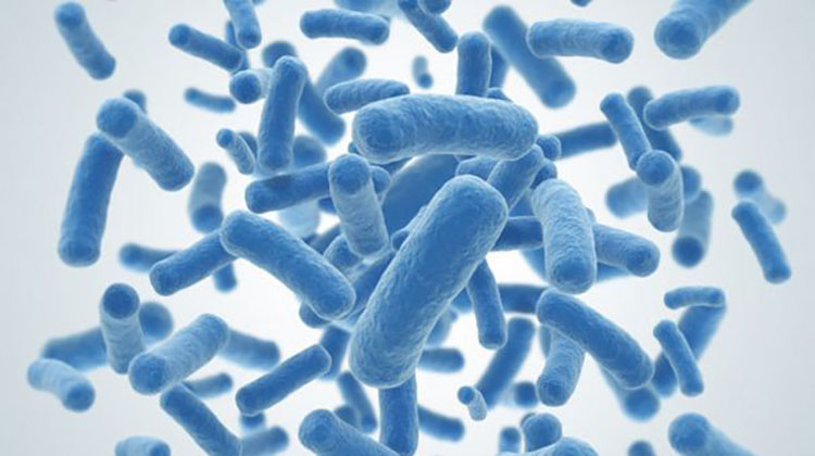 網站開發 網站開發